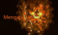 Mengapa Liga Indonesia 2025 Menjadi Sorotan di Dunia Sepak Bola?