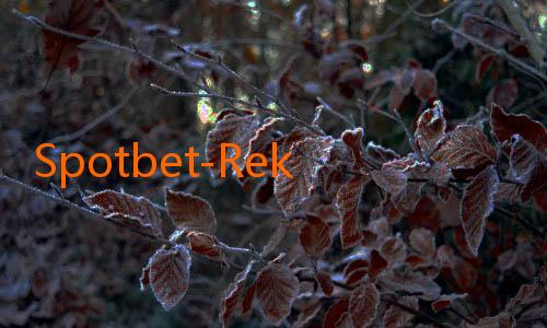Spotbet-Rekor Gol di Liga Indonesia 2025: Siapa yang Memimpin?