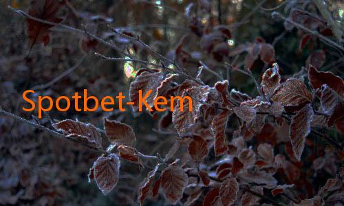 Spotbet-Kemenangan Besar di Spotbet: Kisah Sukses Para Petaruh!